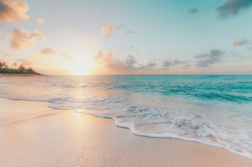 Red Sea Escape